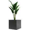 thumbnail image 3 of LOYALHEARTDY Steel Planter Box, 24" x 24" x 24" Square Planter Metal Box Tall Planters Heavy Duty Plant Boxes for Indoor Outdoor Tall Plants, Flowers or Shrubs (Black, 24" x 24" x 24"), 3 of 18