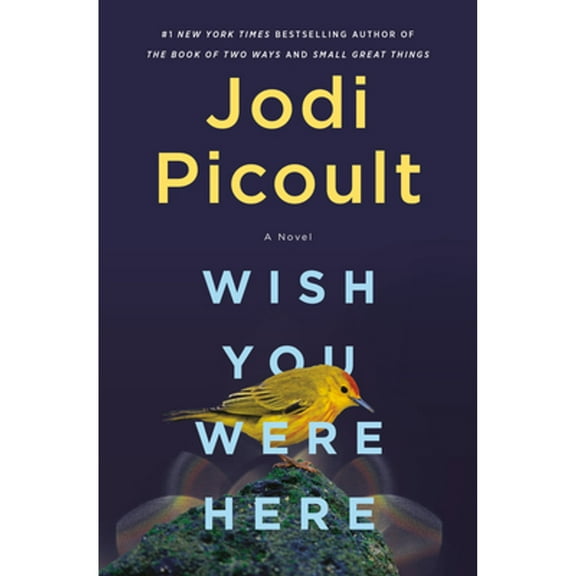 Wish You Were Here (Hardcover) by Jodi Picoult