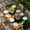 Green Gold Black, variant on St. Patrick's Day Table Cloths for 3 Foot Rectangle Tables, Green Lucky Shamrocks Harp Beer Black Patio Waterproof Elastic Fitted Tablecloths, Washable Rectangular Table Cover for Camping