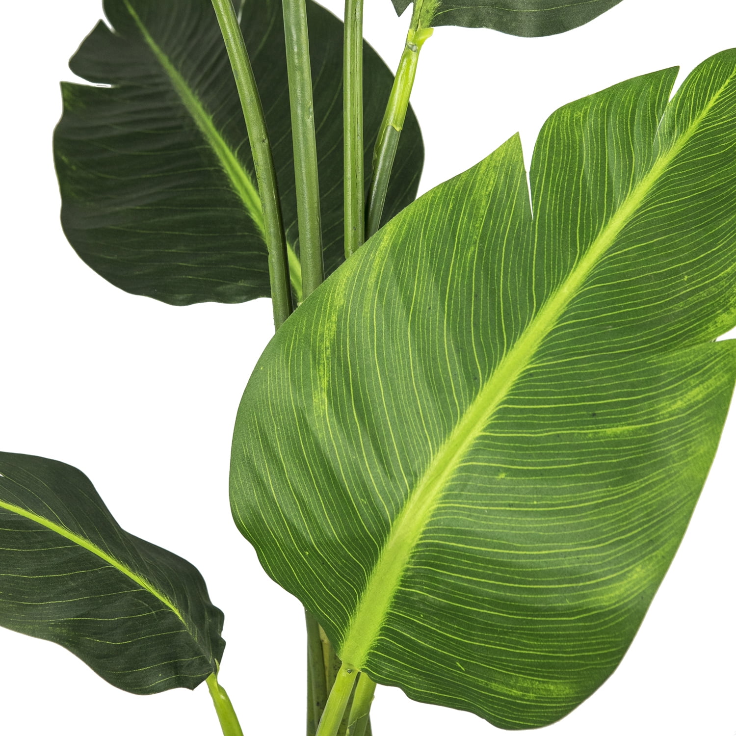 LCG Florals Artificial Plant, Bird of Paradise, 5 ft, Black Plastic Grower's Pot