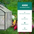 thumbnail image 5 of TROPOW 6x8 FT Outdoor Greenhouse, Polycarbonate Green Houses for Outside, Heavy Duty Large Walk in Green House for Plants with Aluminum Frame, Roof Vent, Rain Gutters for Garden Backyard, 5 of 7