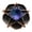 Blue Purple Gold, variant on TISHITA Ball Base Sculpture Pentagram Star Flower Statue for Hallway Cabinet Desktop Blue