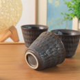 thumbnail image 4 of ABCISI Stone Golden Collections -60ml High Grade Ceramic Gongfu Tea Cup *3, Used with Gaiwan or Teapot, 4 of 11