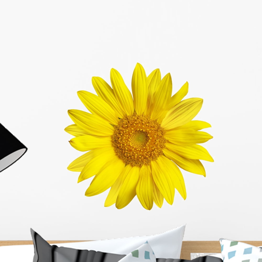 Sunflower White Wall Decal by Wallmonkeys Peel and Stick Graphic (18 in