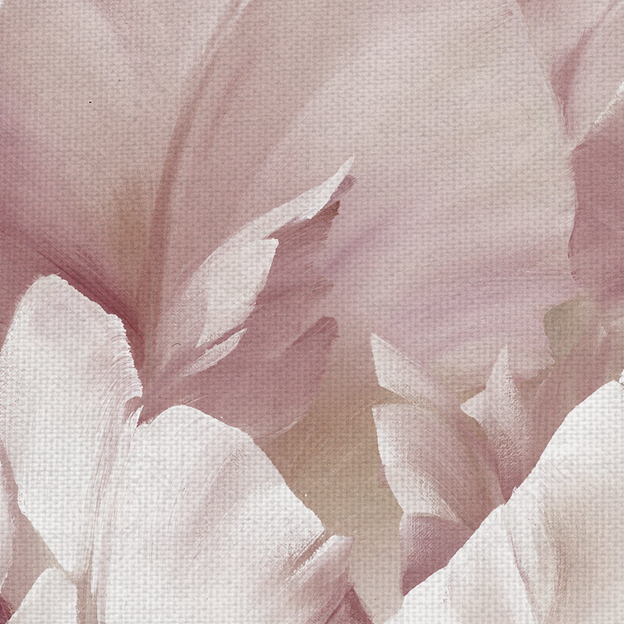 Masterpiece Art Gallery Intimate Blush III Rose Petals By Igor Levashov Canvas Art Print 24" x 24"