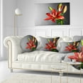 thumbnail image 3 of Designart Cute Red Lily Flower over Black - Flowers Throw Pillowwork - 12x20, 3 of 5