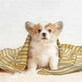 thumbnail image 4 of Naloa Bamboo Wall Dog Blanket, 3 Sizes Cat Blanket for Indoor Cats Large Medium Small Dog Gifts-Small, 4 of 8