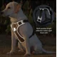 thumbnail image 5 of Pechera Para Perro S,m,l Ajustable Reflectante Con Correa, 5 of 6