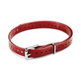 thumbnail image 1 of Garmin 010-11870-14 3/4-Inch Collar Strap Roller Bucklefor Delta Series Dog Device, Red, 1 of 1