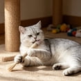 thumbnail image 6 of AuroraX Silvervine Cat Chew Wand Natural Sisal Rope Cat Wand Durable Non-Toxic Teeth Cleaning Long Lasting Interactive Cat Toy for Boredom Relief Brown, 6 of 6