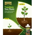 thumbnail image 5 of FoxFarm Tiger Bloom Liquid Fertilizer Concentrate - Fast Acting Formula for Vicious Growth with Phosphorus - Encourages Fruit, Flower & Bud Development, NPK 2-8-4 (Quart), 5 of 6