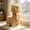 Brown S, variant on Cuddly White Alpaca Llama Lamb Toy - 9.84" Stuffed Animal Cushion Plush Doll, Kawaii Plushie