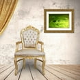 thumbnail image 3 of Putman, Tammy 18x14 Gold Ornate Wood Framed with Double Matting Museum Art Print Titled - Lemon Lime Drop I, 3 of 4