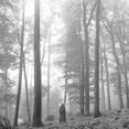 thumbnail image 2 of Taylor Swift - Folklore : dans les Arbres Édition Deluxe Vinyle [Audio Vinyle], 2 of 4
