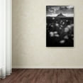 thumbnail image 3 of Trademark Fine Art "Mont Saint Michel" Canvas Art by Mathieu Rivrin, 3 of 3