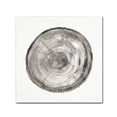 thumbnail image 1 of Counting the Years V' Canvas Art by Albena Hristova, 1 of 3