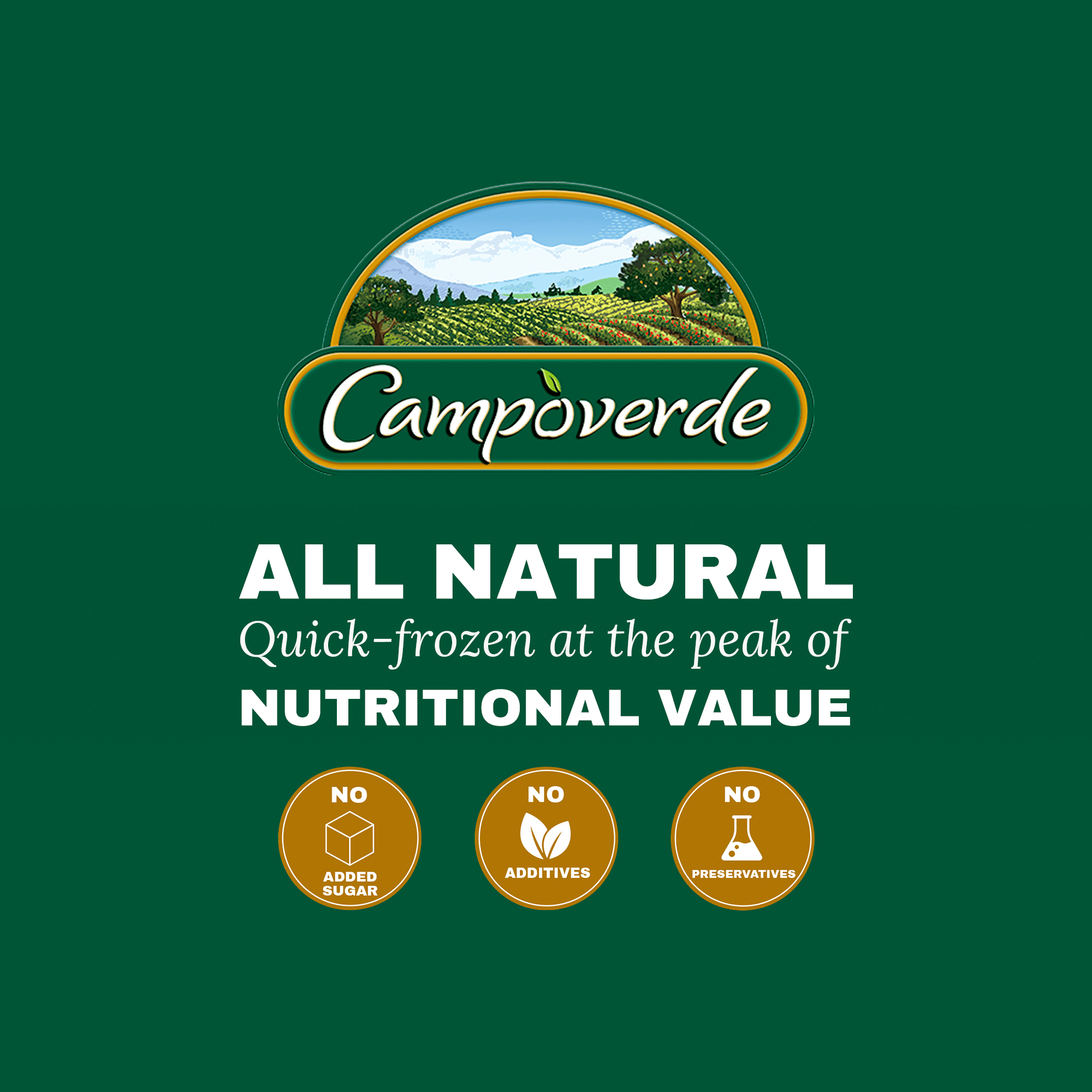 Campoverde Amarillos Fried Ripe Plantains, 12 oz (Frozen)