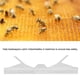 thumbnail image 3 of Scienceny Trampa de plástico para escarabajos Colmena de abejas de plástico Colector de insectos Trampa para insectos Jardín y Patio Scienceny TO002995-00, 3 of 6