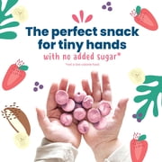 Amara Organic Smoothie Melts, Mixed Red Berries, Baby & Toddler Snacks, No Added Sugar, Baby Food Stage 2, 1 oz Bag