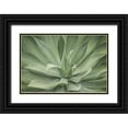thumbnail image 1 of Murdock, Ramona 14x11 Black Ornate Wood Framed with Double Matting Museum Art Print Titled - Elegant Agave, 1 of 4