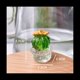 thumbnail image 2 of 4 Piezas de Adornos Interiores para AutomóViles, Figuras ArtíSticas de Cactus, DecoracióN del Hogar, Adornos de Cactus de Plantas en Miniatura para Manualidades de Escritorio A, 2 of 8