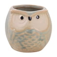 thumbnail image 2 of Cute Owl Ceramic Planter 2.6 Inch, Small Succulent Cactus Flower Pot for Indoor Outdoor Home Office Decor, Animal Style Tabletop Garden Decor Pot Gift, 2 of 6