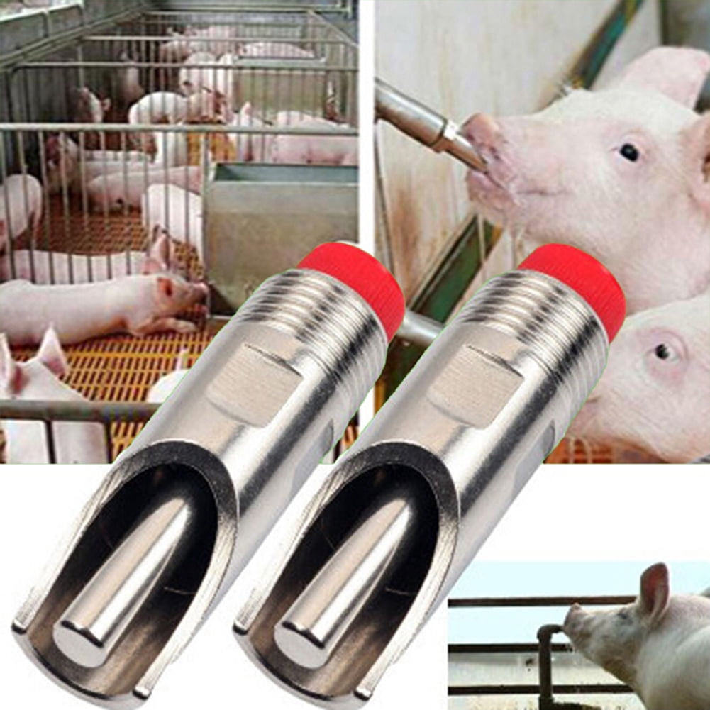 6 RITE FARM PRODUCTS 1/2NPT STAINLESS STEEL PIG NIPPLE WATERER DRINKER HOG SWINE 