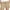 Khaki1, variant on Besolor Summer Shorts for Women Casual High Waist Drawstring Roll up Bermuda Beach Hiking Lounge Shorts with Pockets