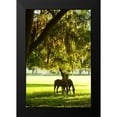 thumbnail image 2 of Hausenflock, Alan 17x24 Black Modern Framed Museum Art Print Titled - Horses in the Sunrise VIII, 2 of 5