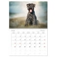 thumbnail image 6 of Giant Schnauzer... Dogs with strong character (Monthly Wall Calendar 2026 11.7 x 16.5 (open)), CALVENDO 14 Month Calendar, 6 of 9