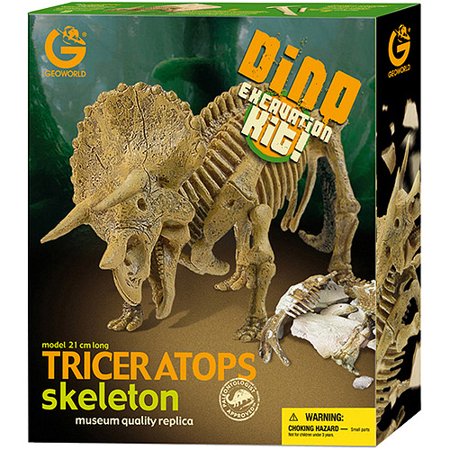 dino excavation