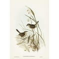 thumbnail image 2 of Gould, John 17x24 Black Modern Framed Museum Art Print Titled - Striated Reed Lark-alamanthus fuliginosus, 2 of 4