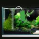 thumbnail image 5 of HAMPPLIES Fish Tank Oxygen Air Pump Compacto Y Con Gran Para Peceras Color Oscuro, 5 of 6