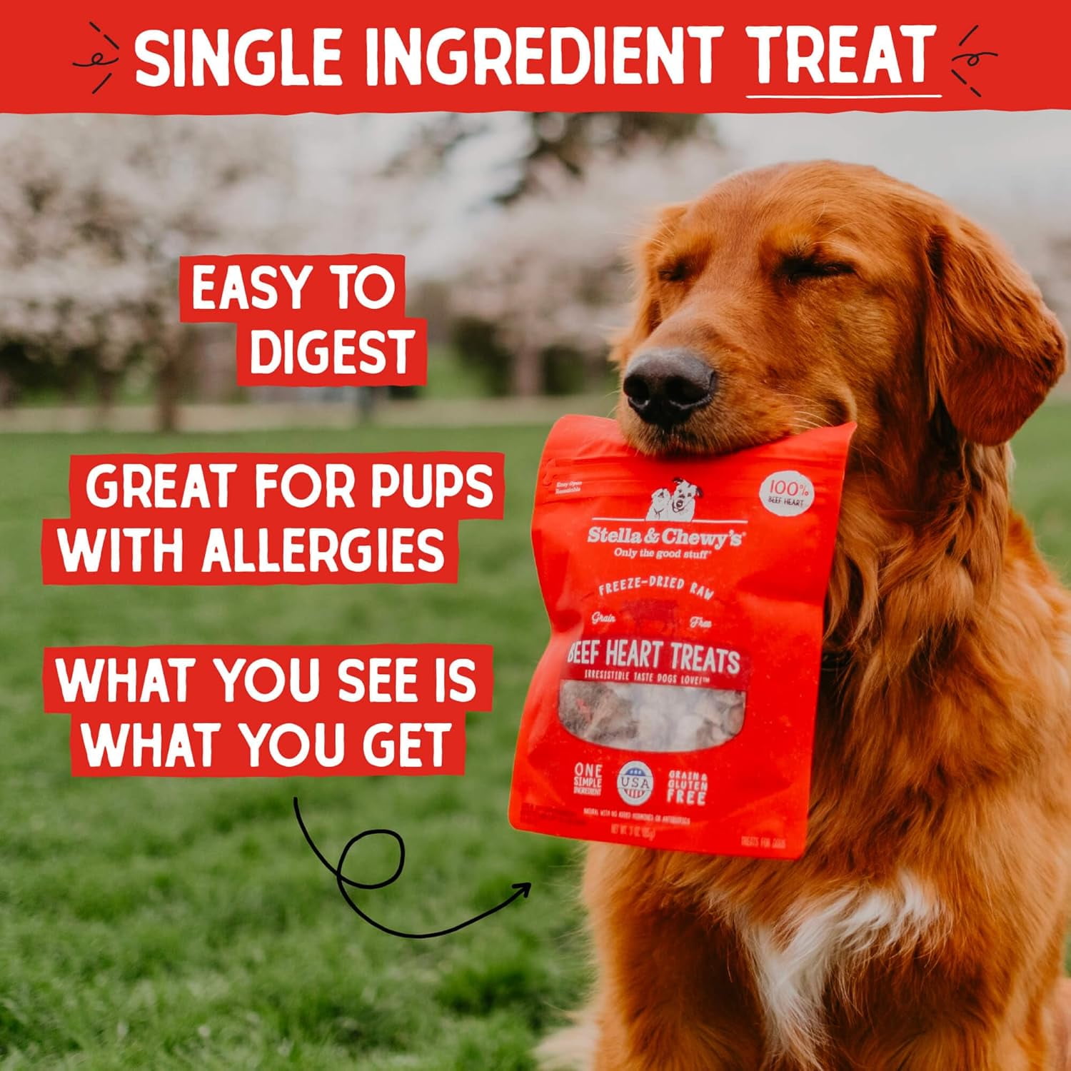 Stella & Chewy's Beef Heart Treats for Dogs - 3 Ounce Bag
