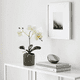 thumbnail image 4 of Arreglo Orquídea Artificiales Decoración 43 cm Malubero, Blanca, 4 of 5