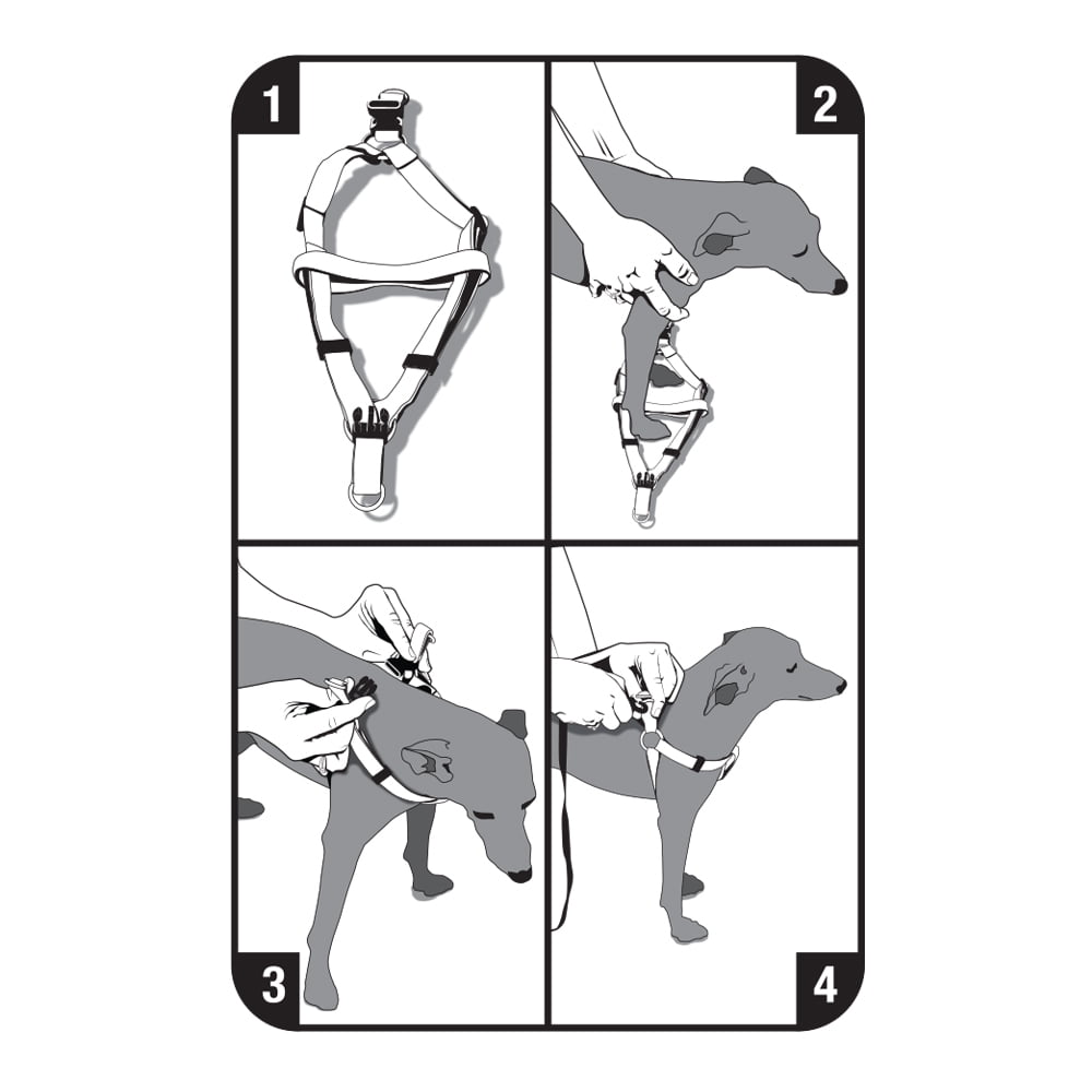 Vibrant Life Hunter Step in Harness for Dogs Orange L Walmart