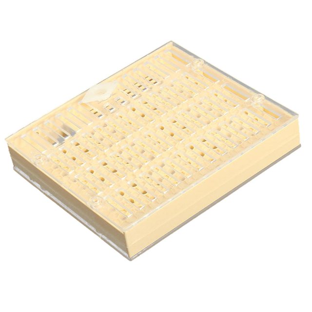 Caja de plástico Queen Cupkit Bee Sistema Cupularve Caja de plástico Queen kusrkot Queen Rearing Cupkit Box