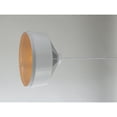 thumbnail image 3 of JL Styles Inc Beaut Pendant Light, 3 of 7