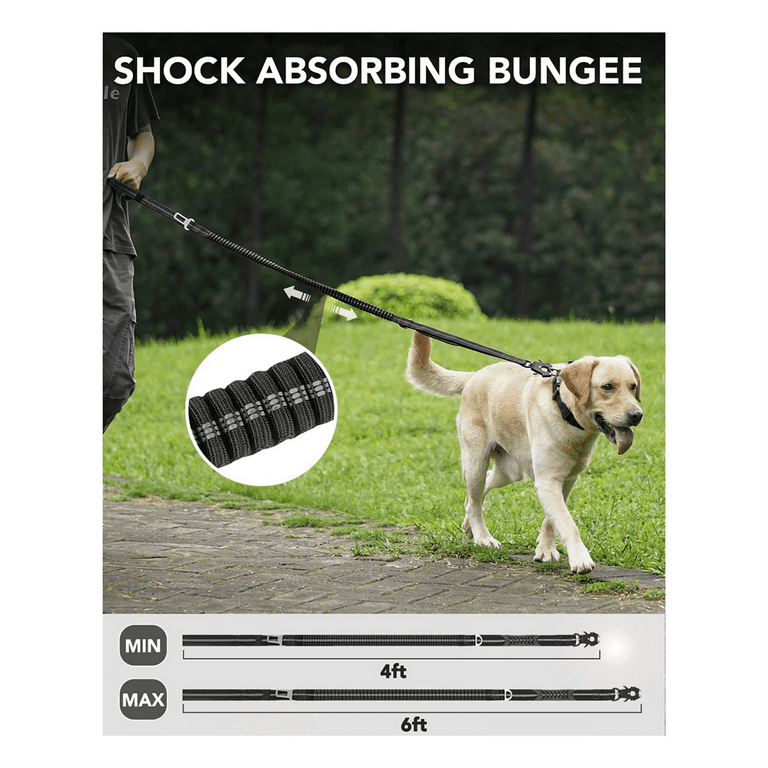 Heavy duty top dog leash walmart