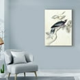 thumbnail image 3 of Trademark Fine Art 'UA CHBR Rustic Aviary I' Canvas Art by Naomi McCavitt, 3 of 4