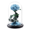 thumbnail image 2 of ERTZAE Mothers Day Flowers Gifts,Light Blue 7.87"Rose "Glass,Flower Gifts From Daughter Son,Gifts For Mom Wife Girlfriend Grandma Teacher,Birthday Anniversary Valentines Day Mothers Day&nbsp;Gifts, 2 of 9
