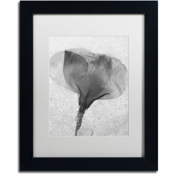 Trademark Fine Art "Flowers on Ice BW-2" Canvas Art by Moises Levy, White Matte, Black Frame