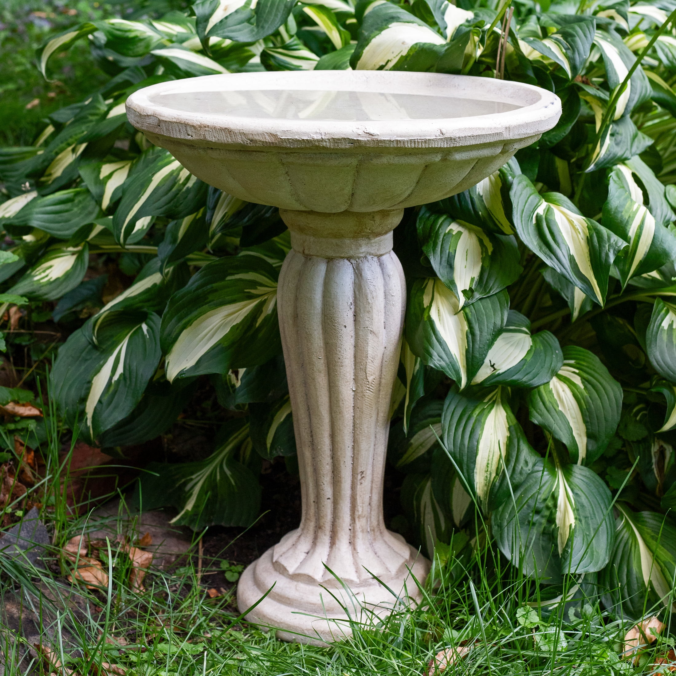 Sunnydaze Grecian Column Freestanding Glass Fiber Reinforced Concrete Outdoor Bird Bath, White