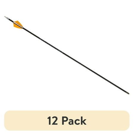 (12 pack) Allen Company 26 Fearless G2 Youth Target Fiberglass Arrow Black
