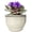 cream, variant on Dphagesy 6 inch Blue Self Watering African Violet Pot with Water Reservoir, Porous Ceramic Inner Pot, Bottom Watering Indoor Planter, Keeps Leaves Dry(Plants Are not Included)