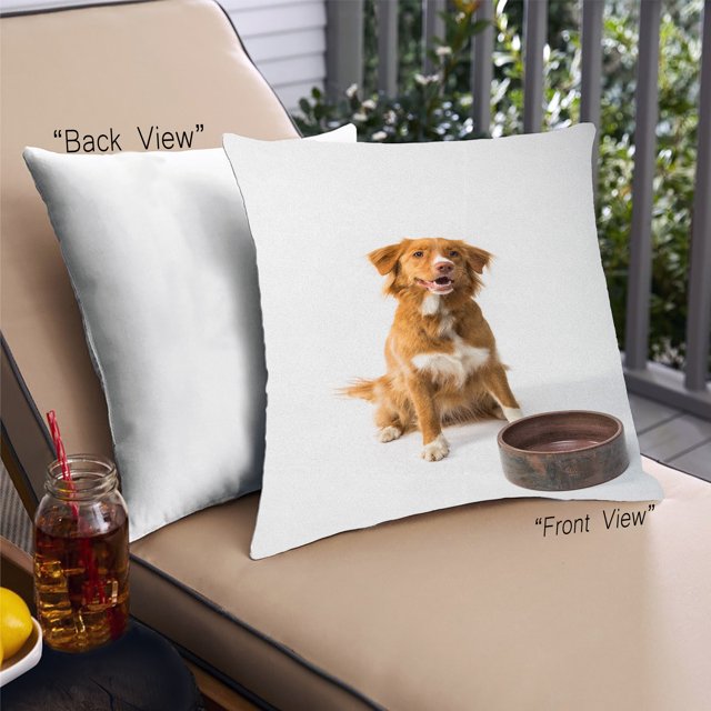 Ahgly Company Dogs Dogs Outdoor Throw Pillow, 18 inch by 18 inch