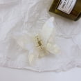 thumbnail image 4 of Pinza para el pelo Pinza para el pelo con placa para rascar el pelo de mariposa de color francés Wmkox8yii fajkfhkj4209, 4 of 4