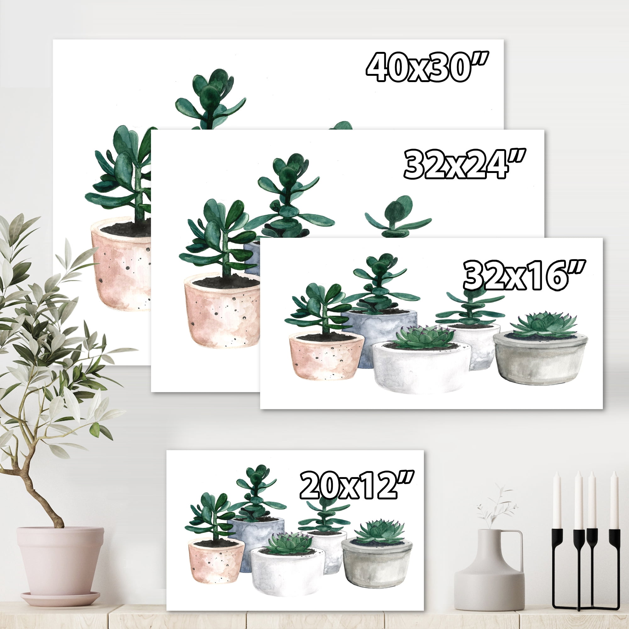 Designart ' Succulent and Cactus House Plants VI ' Farmhouse Canvas Wall Art Print