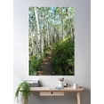 thumbnail image 2 of Jud Weibe Trail Telluride Poster Wall Art, Modern Wall Decor, 16x24 UNFRAMED, 2 of 3