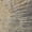Brown, variant on Addison Rugs Dream Shag Premium Machine Washable Transitional Modern Brown Rectangle Rug, 10' x 14'